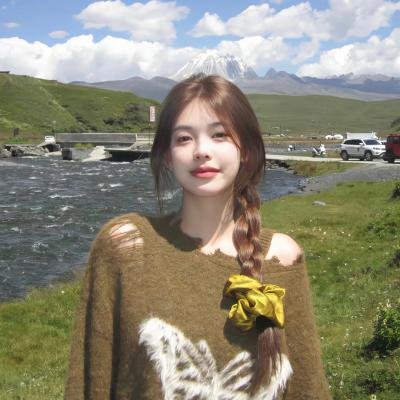 海龟们